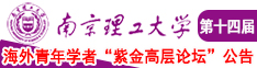 啊啊嗯好深好厉害不要啊视频南京理工大学第十四届海外青年学者紫金论坛诚邀海内外英才！